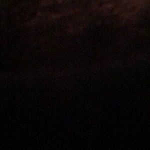 Meet your Posher, Remi